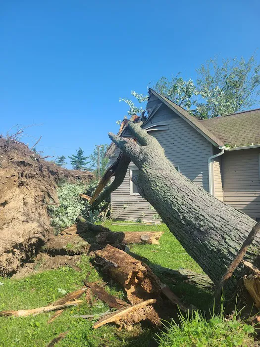 NEXT EXTERIORS Picture 8