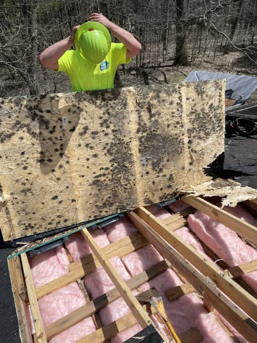 The Exterior Zone Picture 6