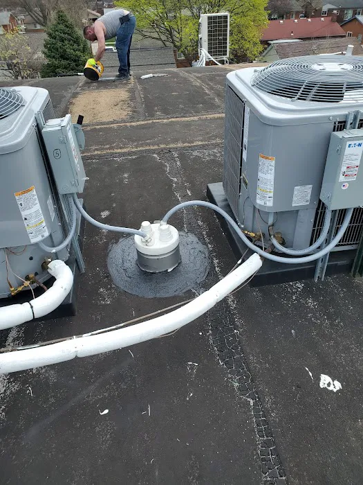 Magnes Roofing Picture 9