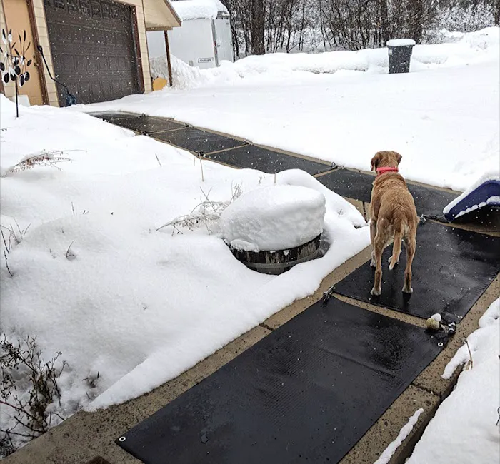 The Exterior Zone Picture 9