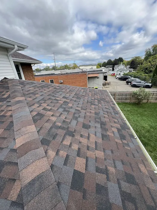 TruEco Construction - Roofing Picture 1