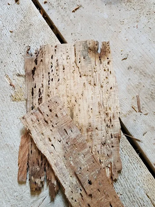 Webber Roofing Picture 2