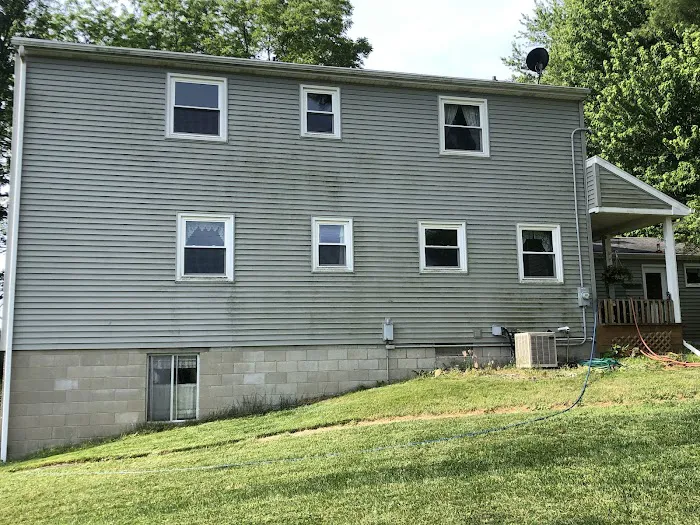 The Roof Cleaner Picture 3