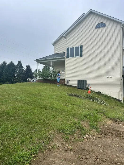 The Roof Cleaner Picture 1