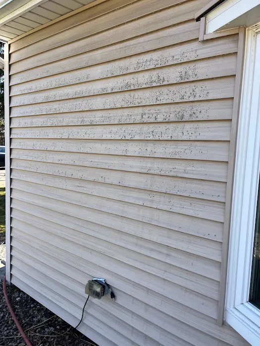 The Roof Cleaner Picture 4