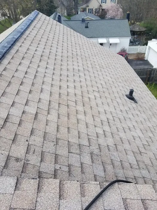 The Deans of Roofing Picture 5