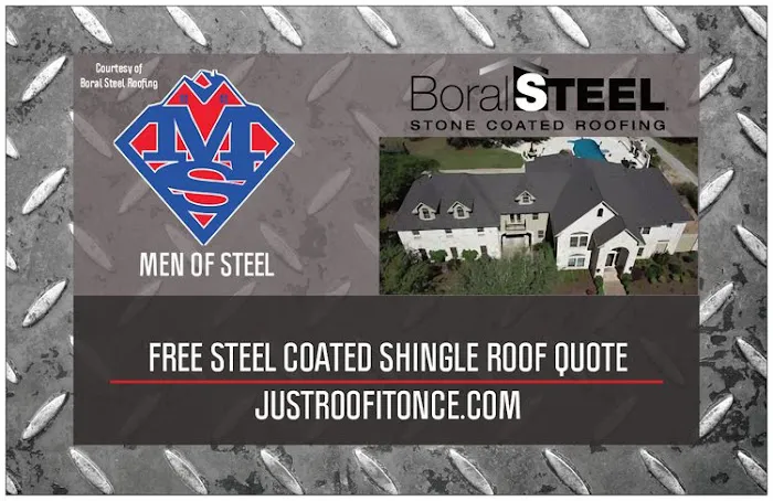 Men of Steel Picture 9