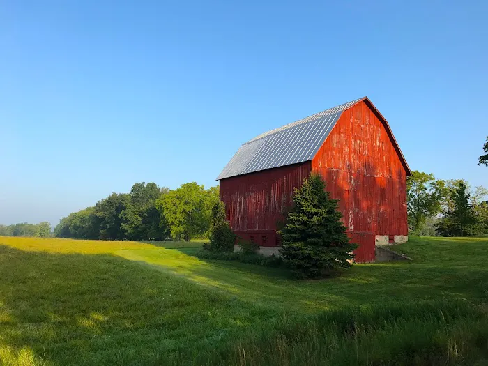 Roofing GR Picture 5