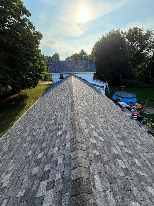 Roof Wiz Picture 2