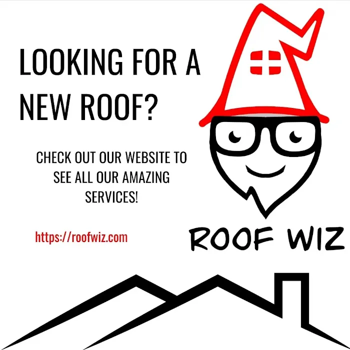 Roof Wiz Picture 6