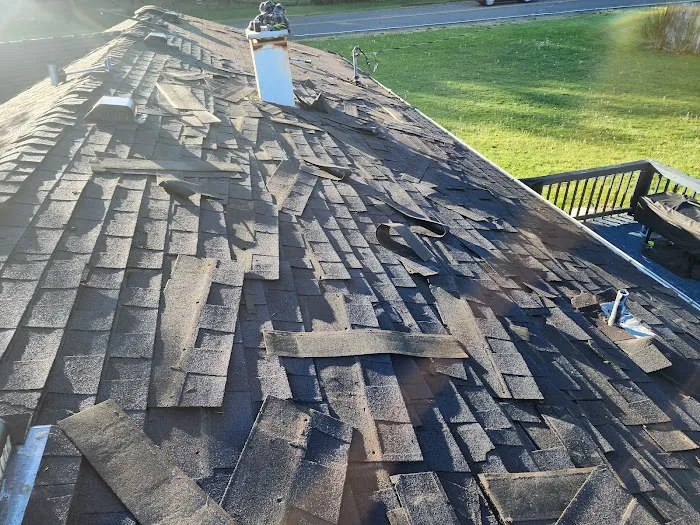 Cole & Son's Roofing Co. LLC Picture 4