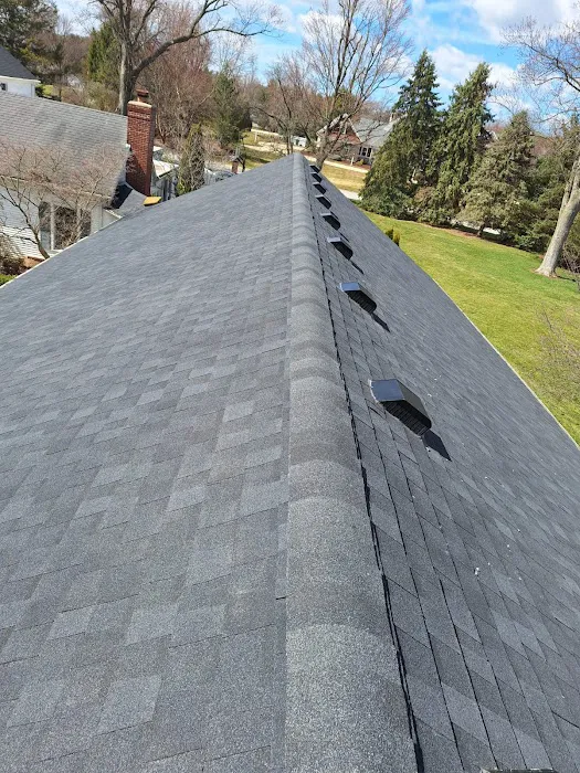 S&M Roofing LLC. Picture 3