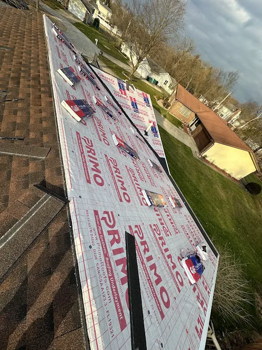 Spring Roofing Construction Picture 3