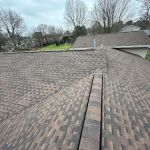 Spring Roofing Construction