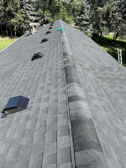 Spring Roofing Construction Picture 7