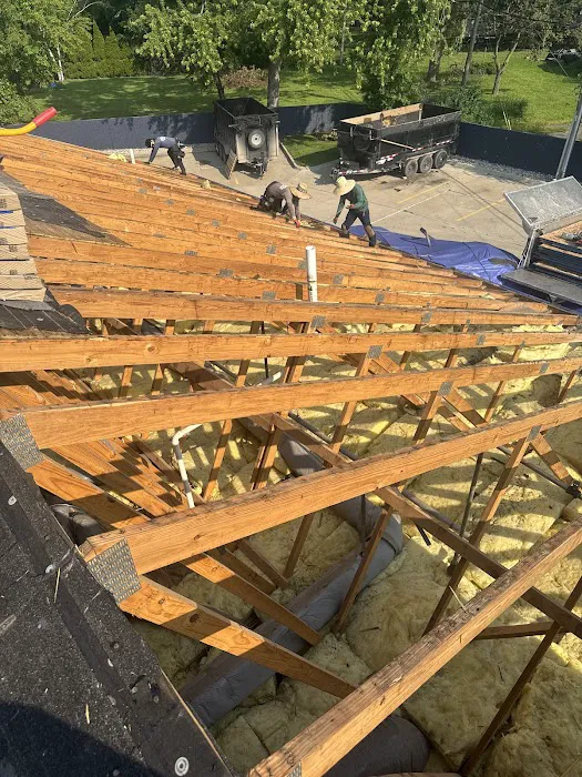 Bella's Roofing Picture 4