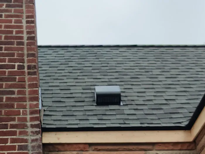 Detroit GoNano Picture 2