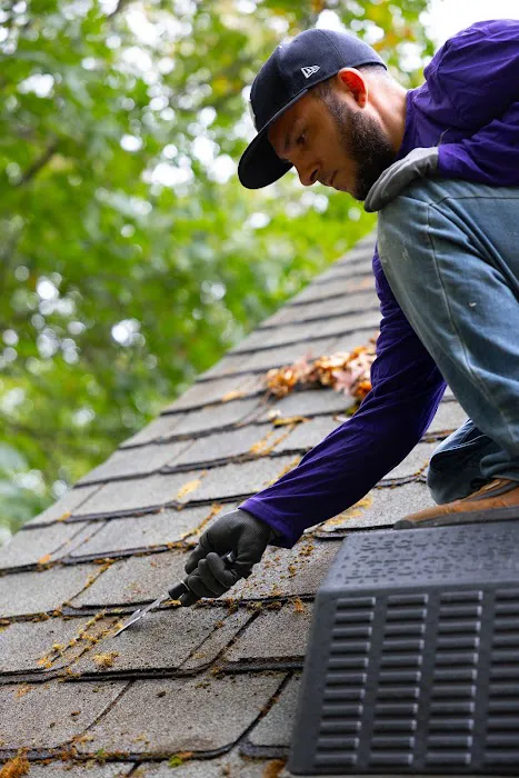 Detroit GoNano Picture 3