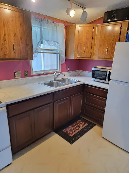 Detroit GoNano Picture 6