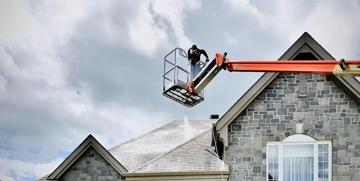 Detroit GoNano Picture 7