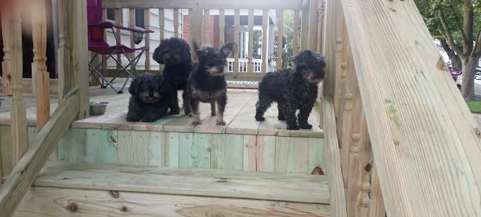 Detroit GoNano Picture 10