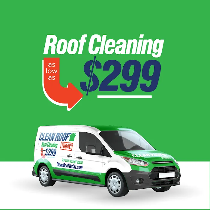 Clean Roof Today LLC Picture 3