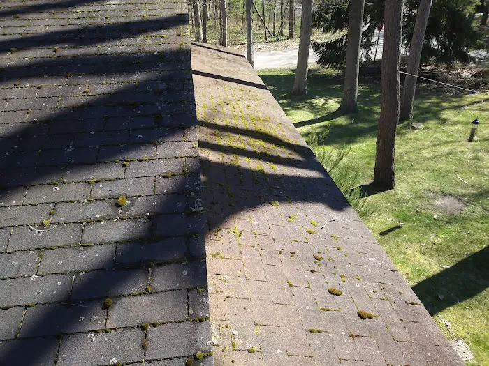 Diamond Roof Cleaning Co Picture 1