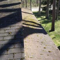 Diamond Roof Cleaning Co ico