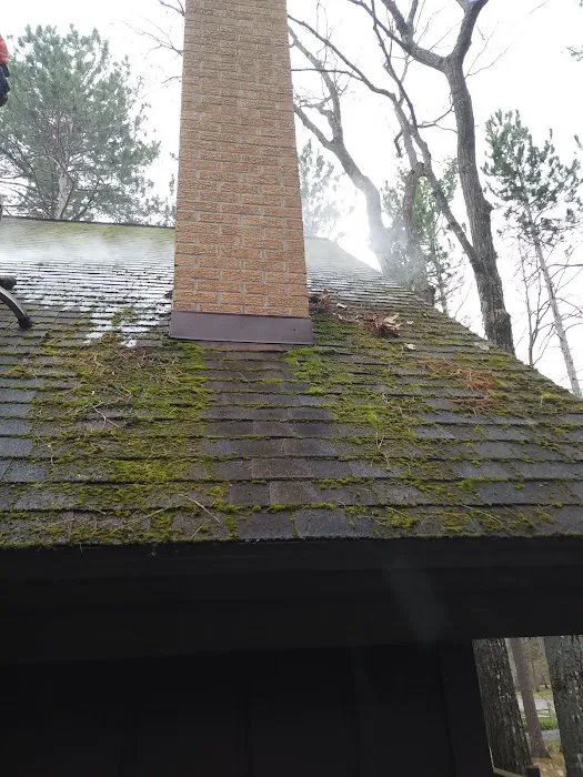 Diamond Roof Cleaning Co Picture 3