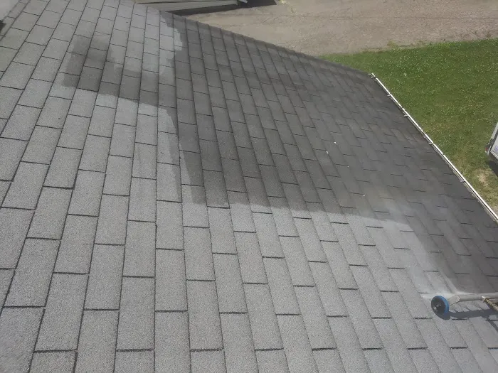 Diamond Roof Cleaning Co Picture 2