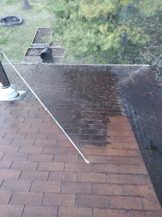 Diamond Roof Cleaning Co Picture 4