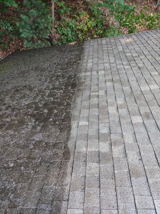 Diamond Roof Cleaning Co Picture 6