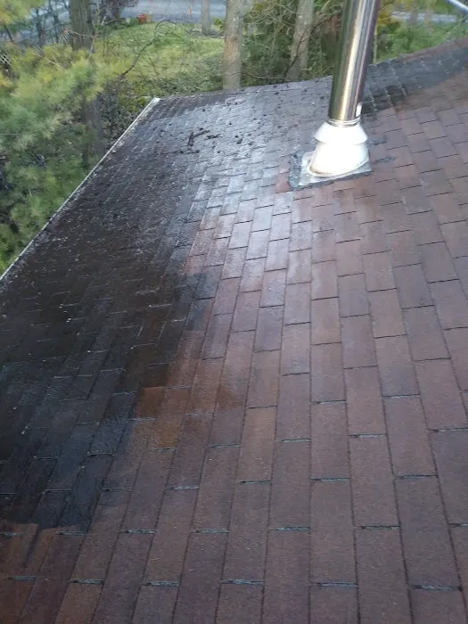 Diamond Roof Cleaning Co Picture 8