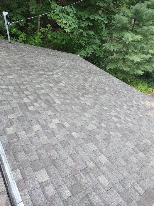 Diamond Roof Cleaning Co Picture 9