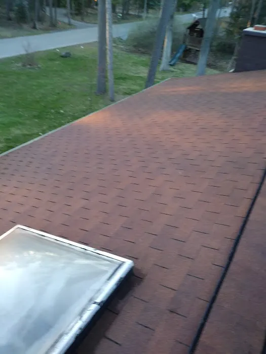 Diamond Roof Cleaning Co Picture 10