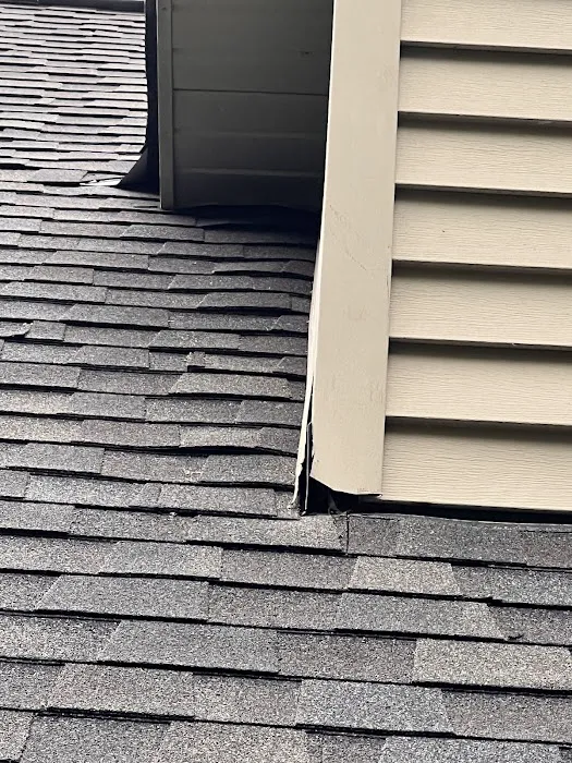 Lezman Roofing Picture 5