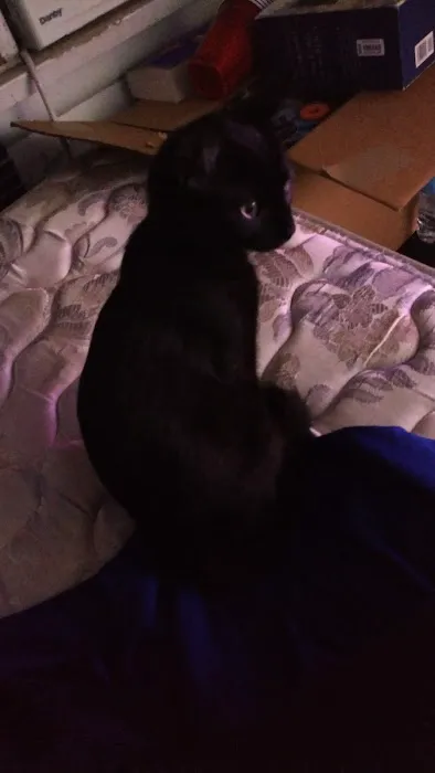 Kroeze Brothers Roofing Picture 1