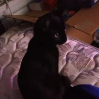 Kroeze Brothers Roofing ico