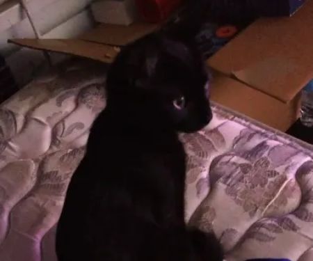 Kroeze Brothers Roofing