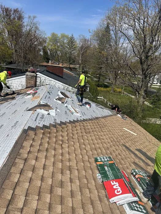 Rapid Roofing Picture 3