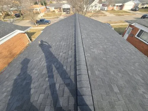 The Roof Resource Picture 6