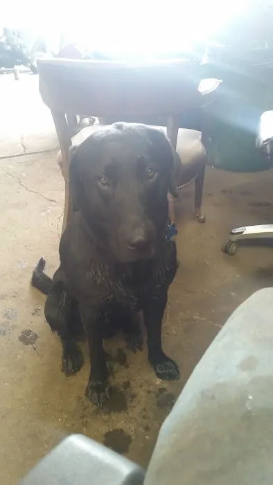 Schena Roofing & Sheet Metal Picture 10