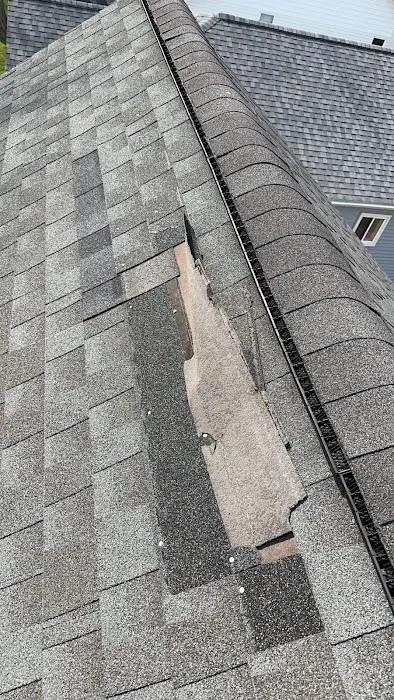 Rhino Shield Roofing & Construction Picture 1