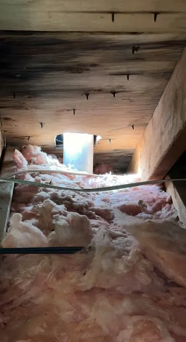 Rhino Shield Roofing & Construction Picture 4