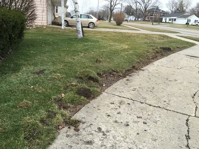 State Building Company Picture 2