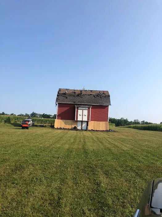 Big Men Construction Picture 8