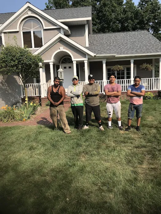 Allied Roofing Picture 10