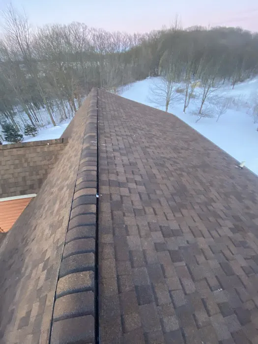 Essential Exteriors building concepts Picture 7