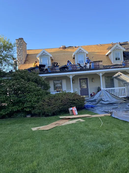 Above Roofing Picture 7