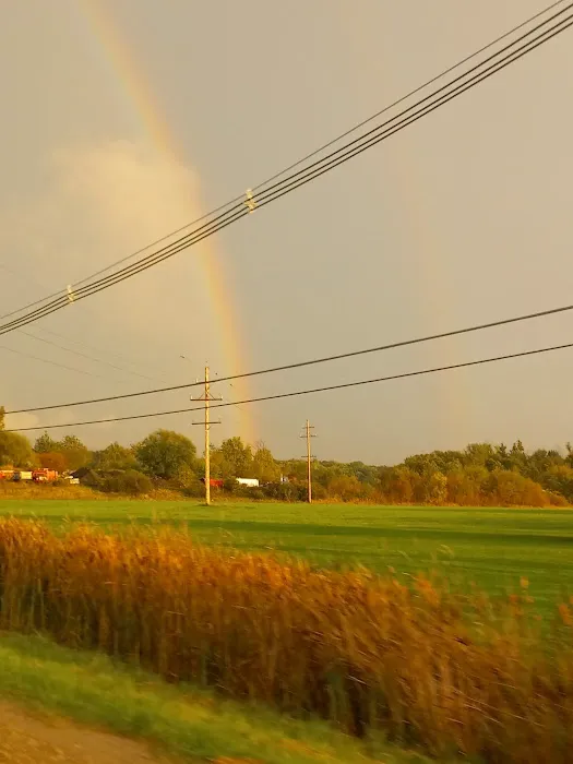 Mikalan Roofing Inc Picture 1